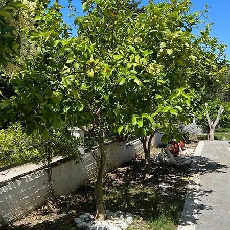 Nikiana's View, 3 Bedroom Daire